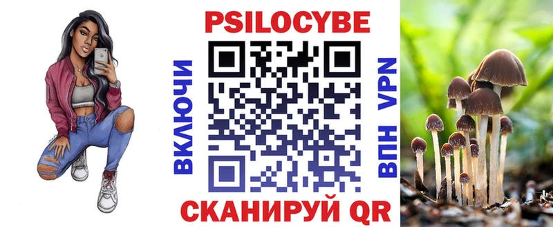 Галлюциногенные грибы Psilocybe  как найти   кракен маркетплейс  Котлас 