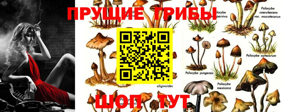 Псилоцибиновые грибы Magic Shrooms Котлас