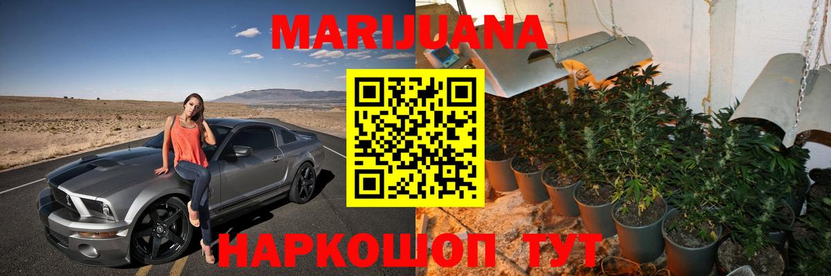 Каннабис Amnesia  Бошки Шишки SATIVA & INDICA  Бошки Шишки THC 21%  Вход с VPN  Шишки марихуана SATIVA & INDICA  Котлас 